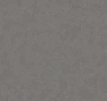 Линолеум Taralay Premium Compact Osmoz 3791 SLATE GREY фото 1 | FLOORDEALER